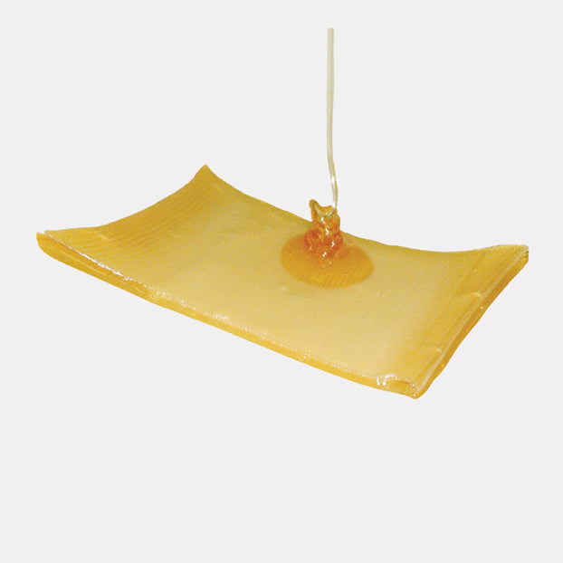Activon Antibacterial Tulle Gauze Impregnanted with Honey